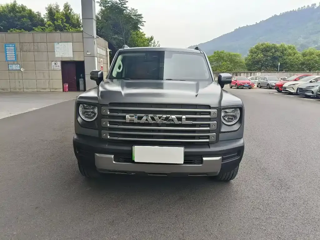 Haval Menglong New Energy 2024 из CN, фото 7