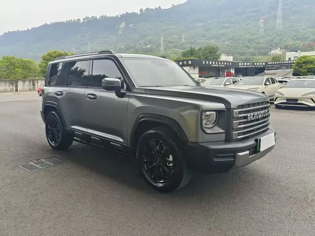 Haval Menglong New Energy 2024 из CN, фото 8
