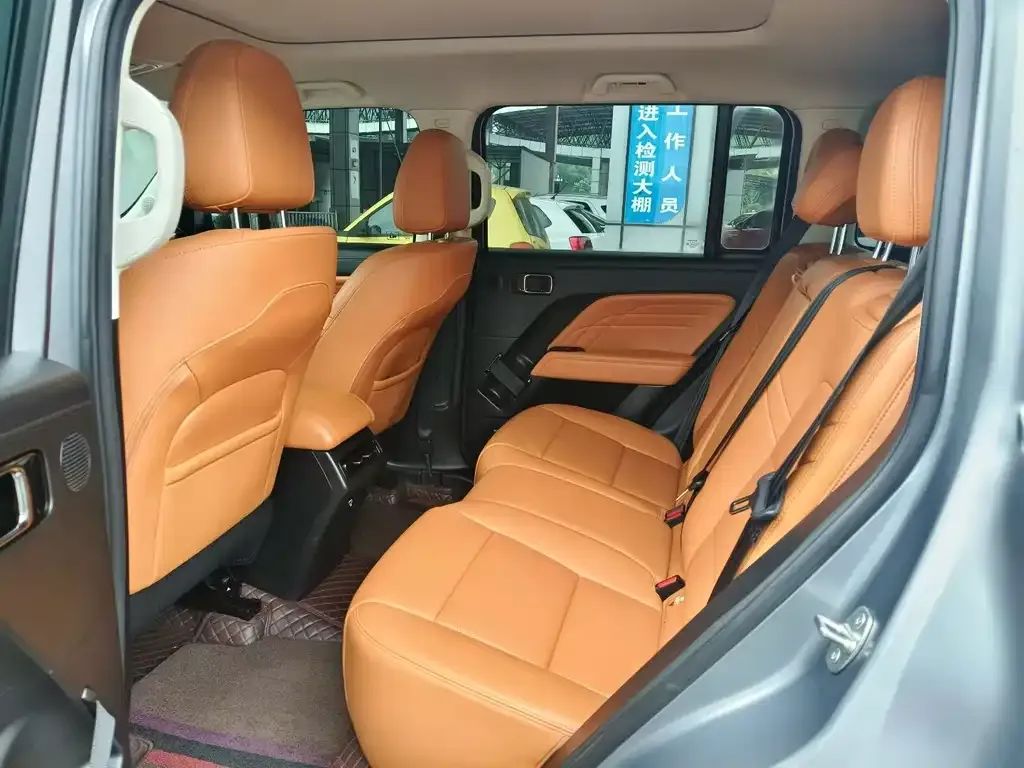 Haval Menglong New Energy 2024 из CN, фото 2