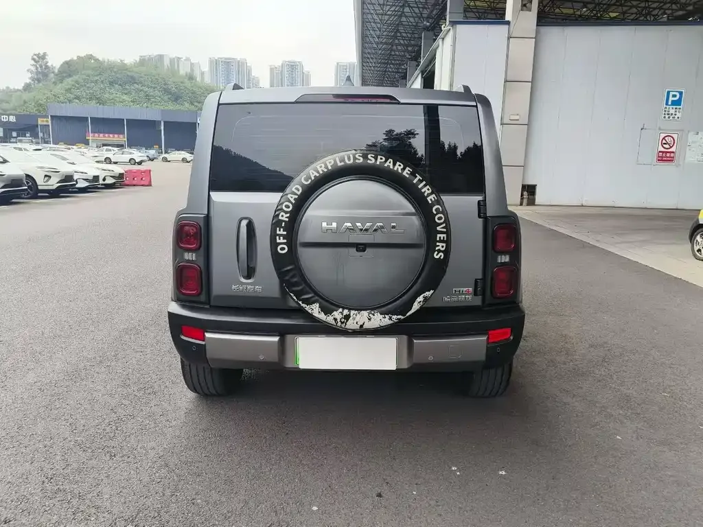 Haval Menglong New Energy 2024 из CN, фото 6