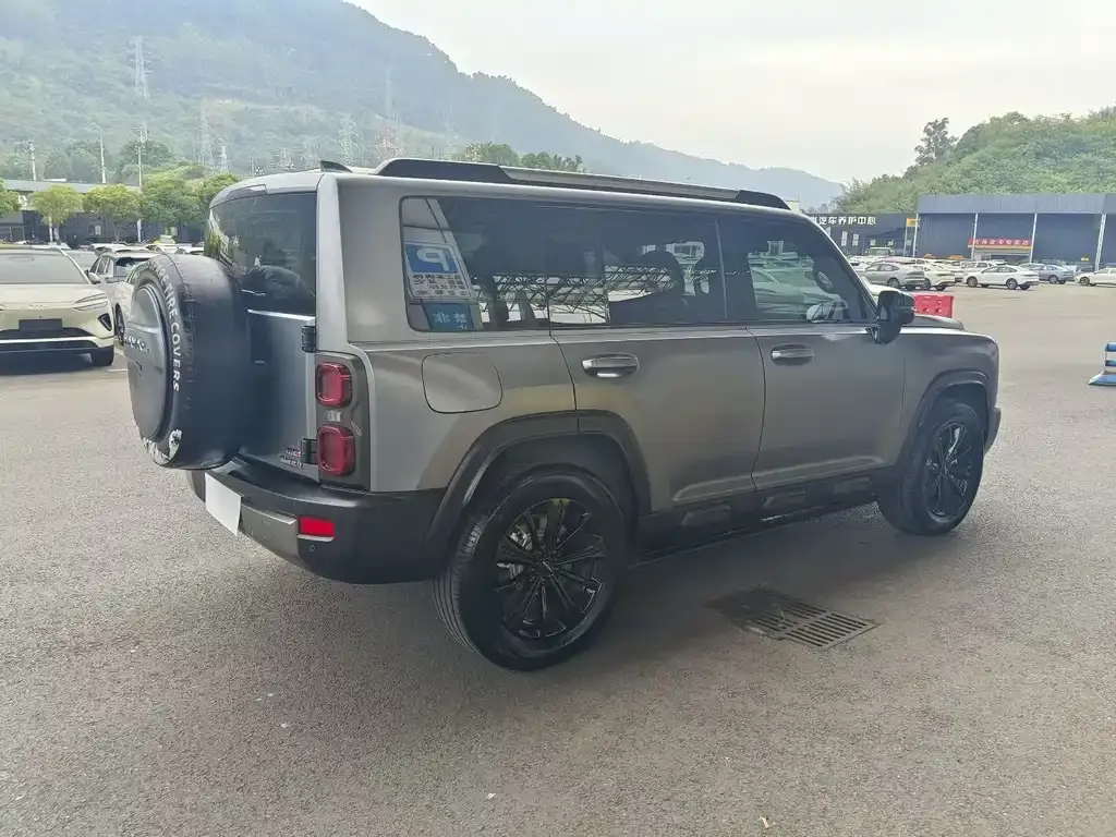 Haval Menglong New Energy 2024 из CN, фото 9