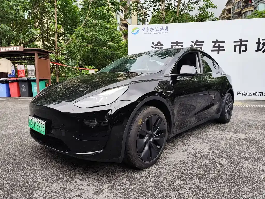 Tesla Model Y — фото 1