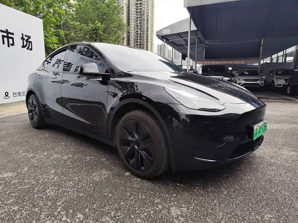 Tesla Model Y — фото 7