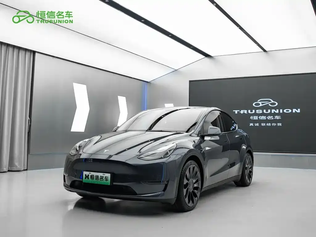 Tesla Model Y — фото 1