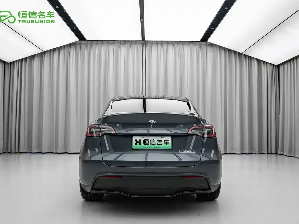 Tesla Model Y — фото 2
