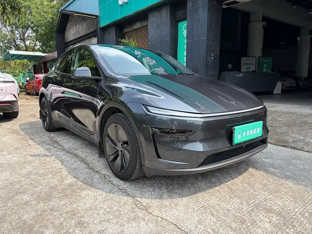 Tesla Model Y — фото 6