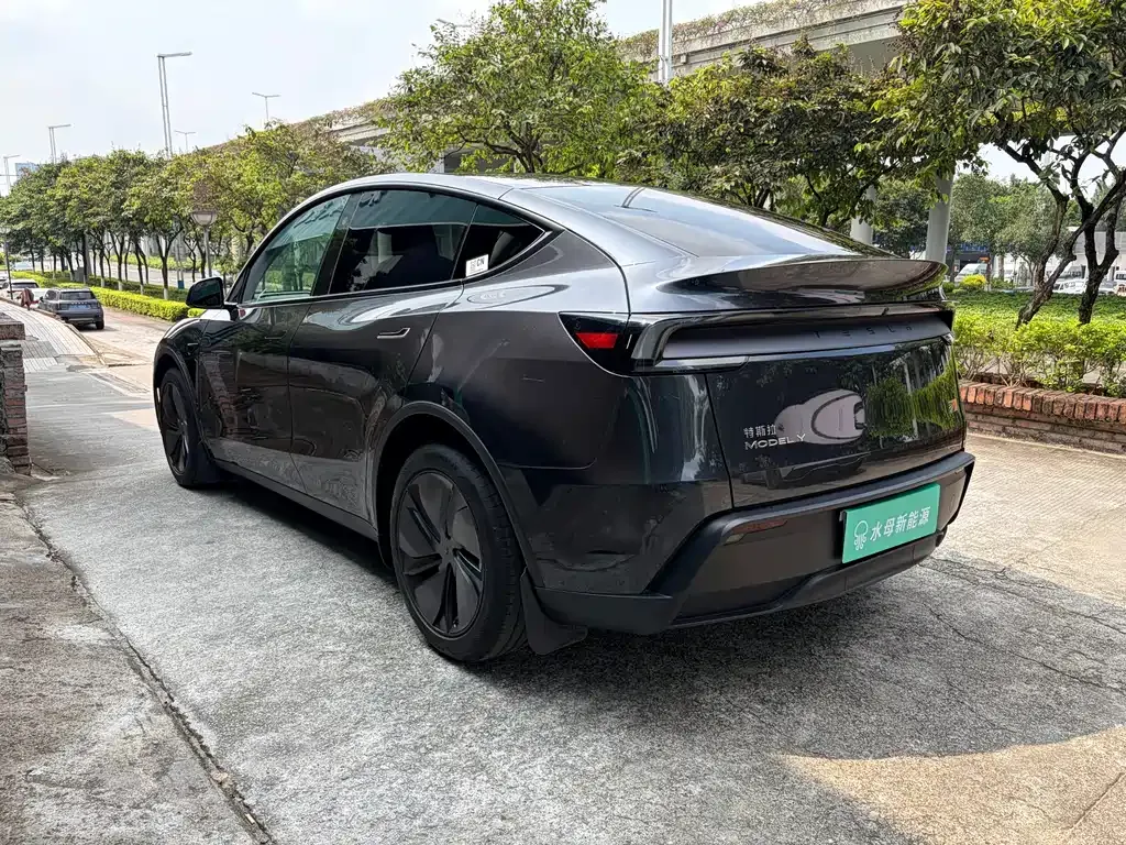 Tesla Model Y — фото 9