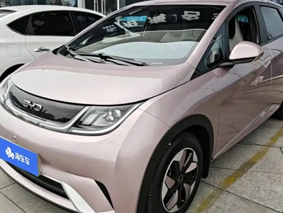 BYD Dolphin