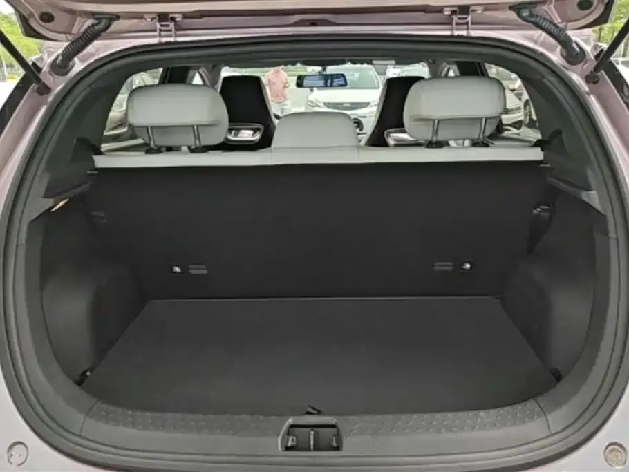 BYD Dolphin 2024 из CN, фото 2