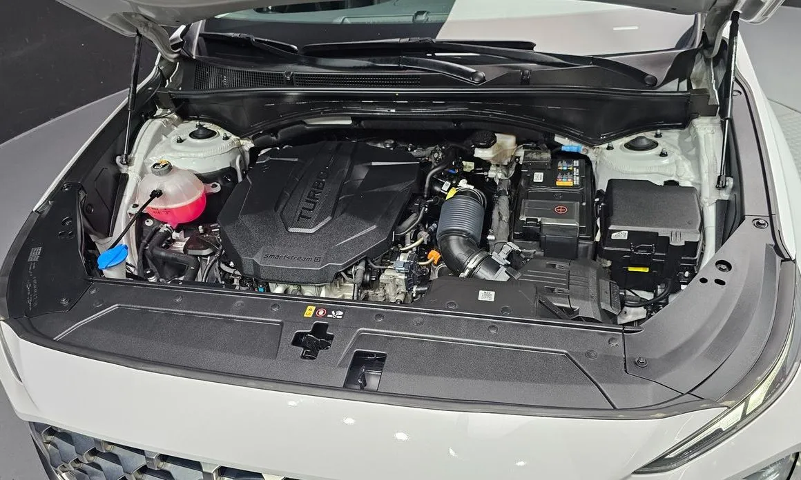 Hyundai Santafe 2022 из KR, фото 9