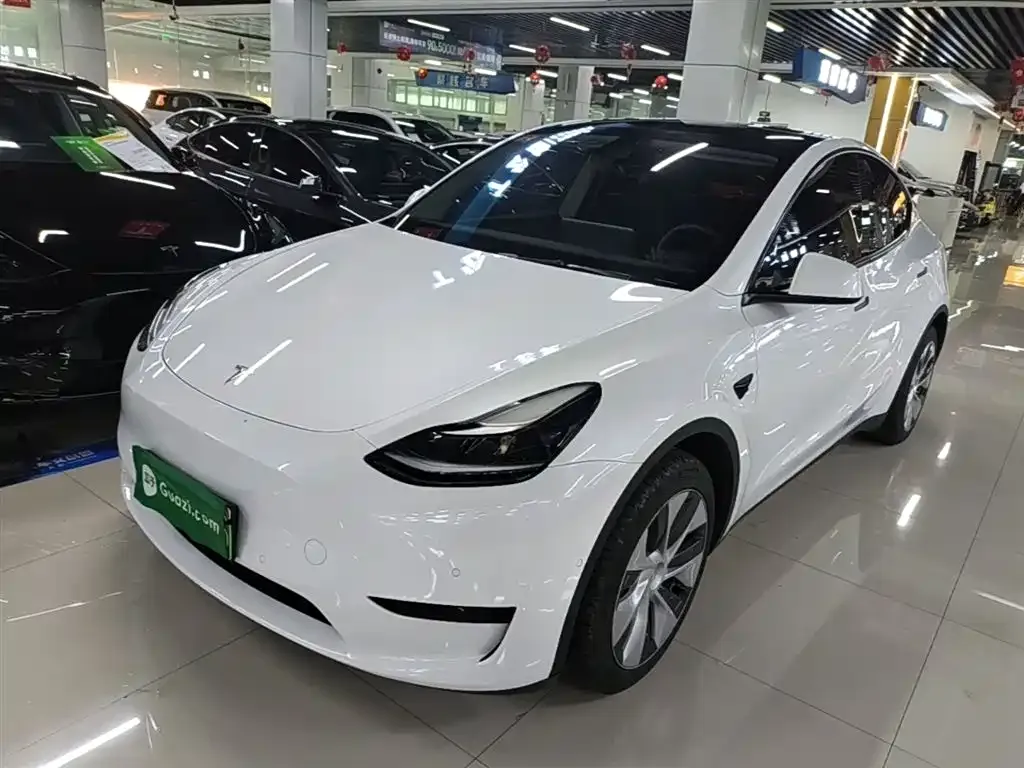 Tesla Model Y — фото 1