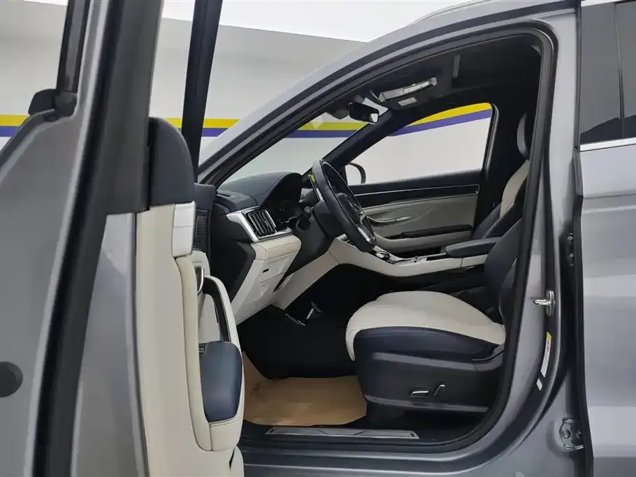 BYD PLUS New Energy — фото 10