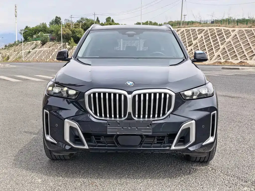 BMW X5 — фото 10