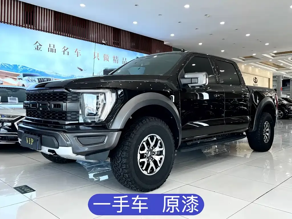 Ford F-150 Raptor — фото 1