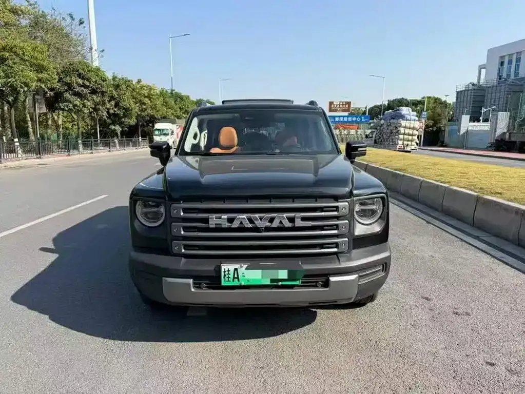 Haval Menglong New Energy 2023 из CN, фото 4