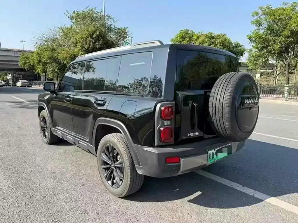 Haval Menglong New Energy 2023 из CN, фото 2