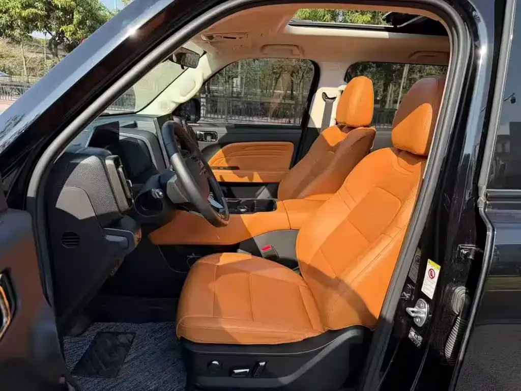 Haval Menglong New Energy 2023 из CN, фото 5