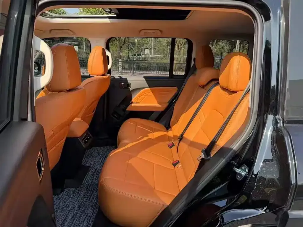 Haval Menglong New Energy 2023 из CN, фото 9