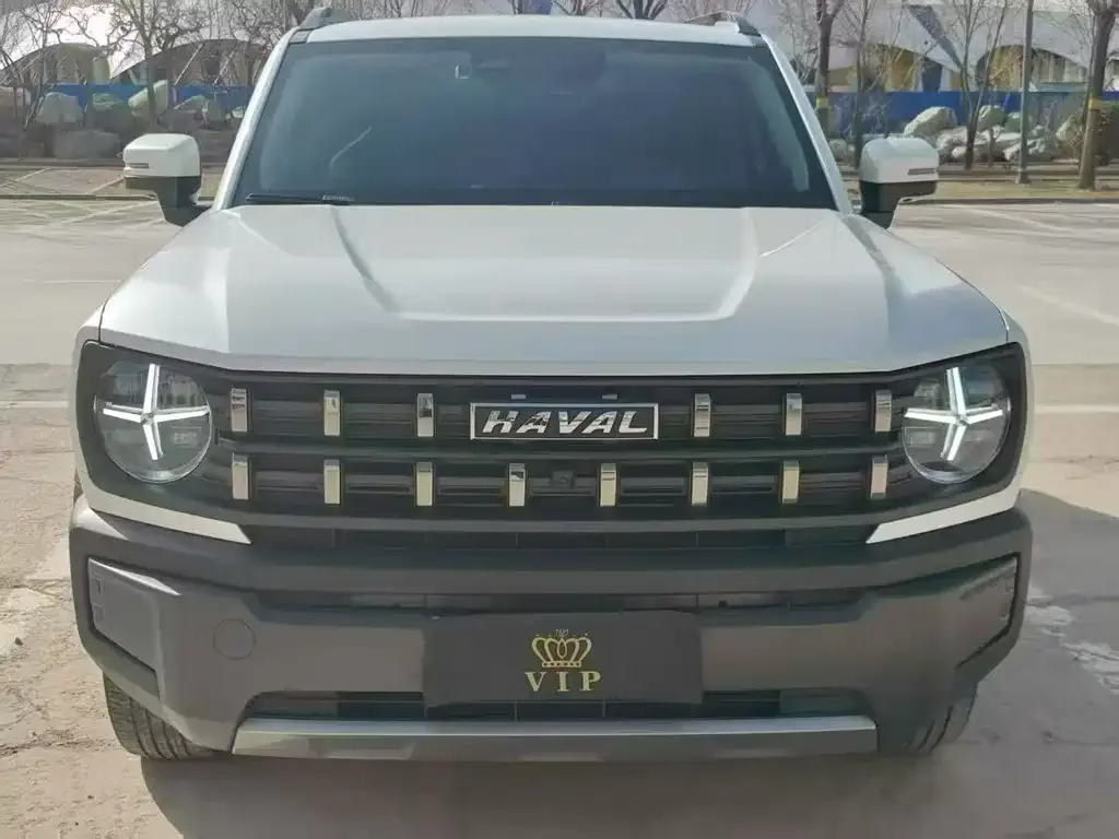 Haval Cool Dog 2023 из CN, фото 7