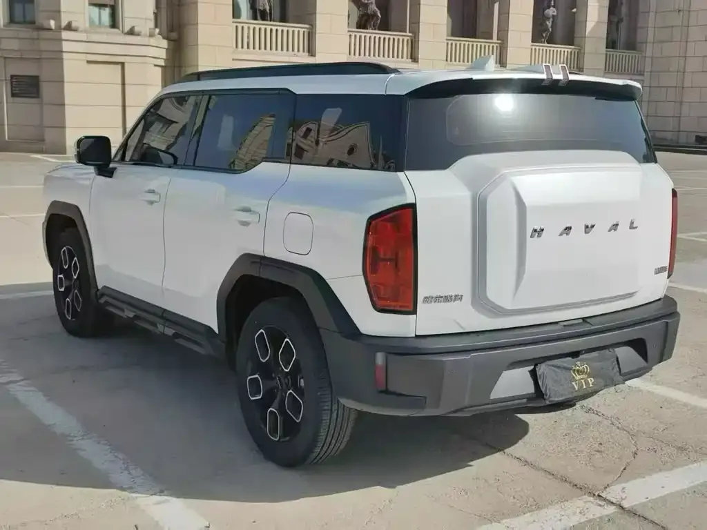 Haval Cool Dog 2023 из CN, фото 5