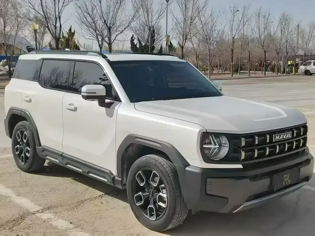 Haval Cool Dog 2023 из CN, фото 8