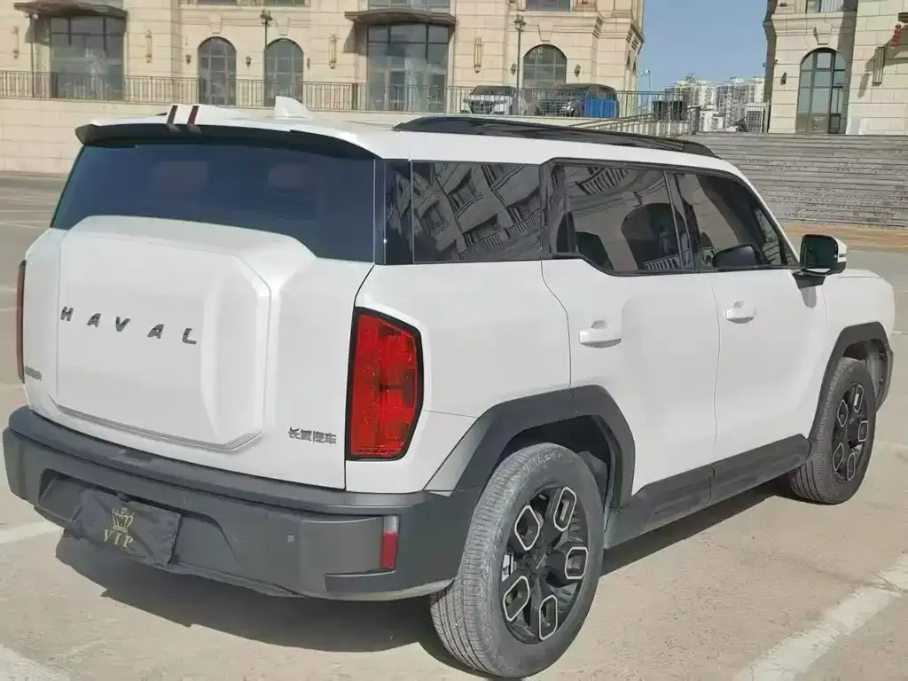 Haval Cool Dog 2023 из CN, фото 2