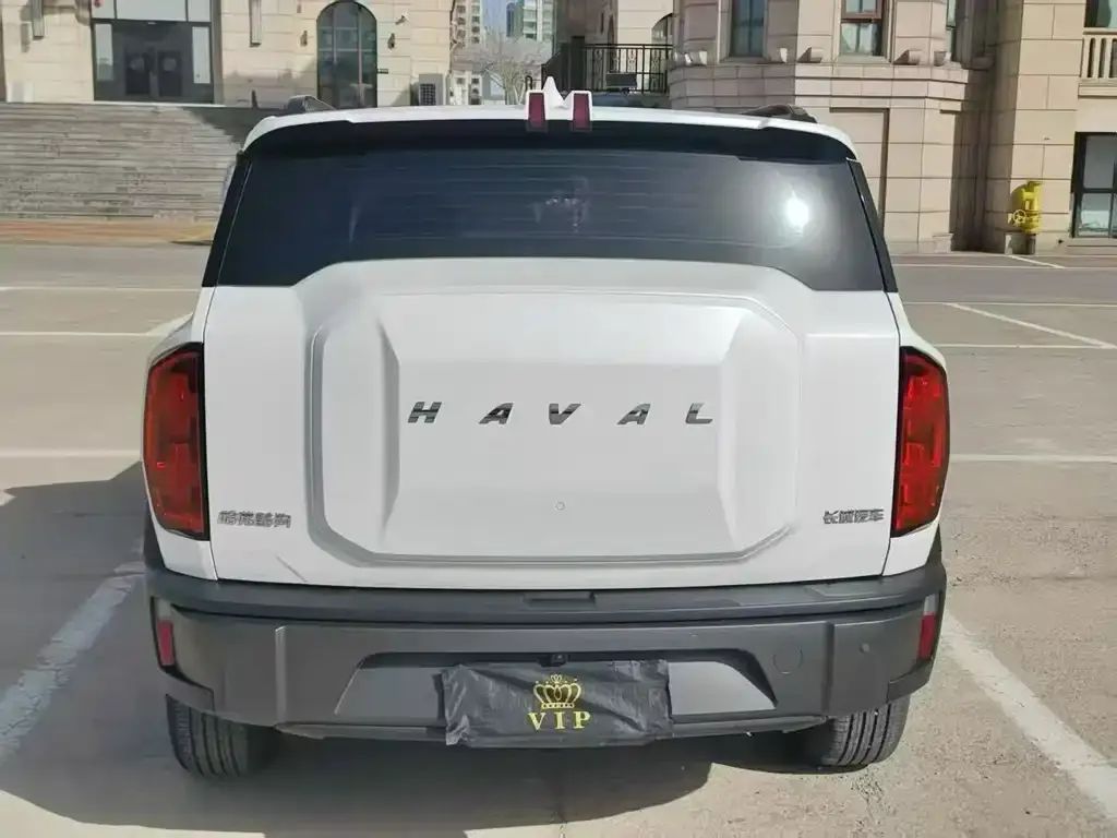 Haval Cool Dog 2023 из CN, фото 6