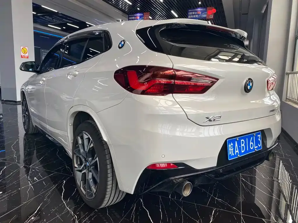 BMW X2 2021 из CN, фото 6