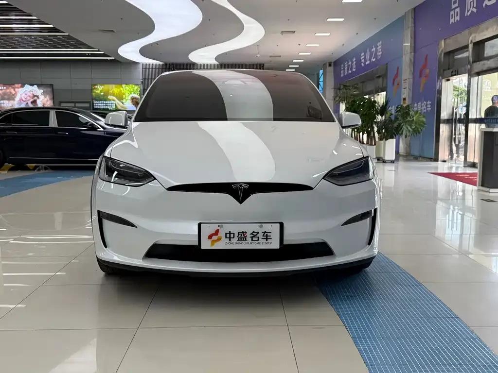 Tesla Model X — фото 6