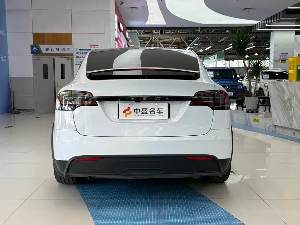 Tesla Model X — фото 4