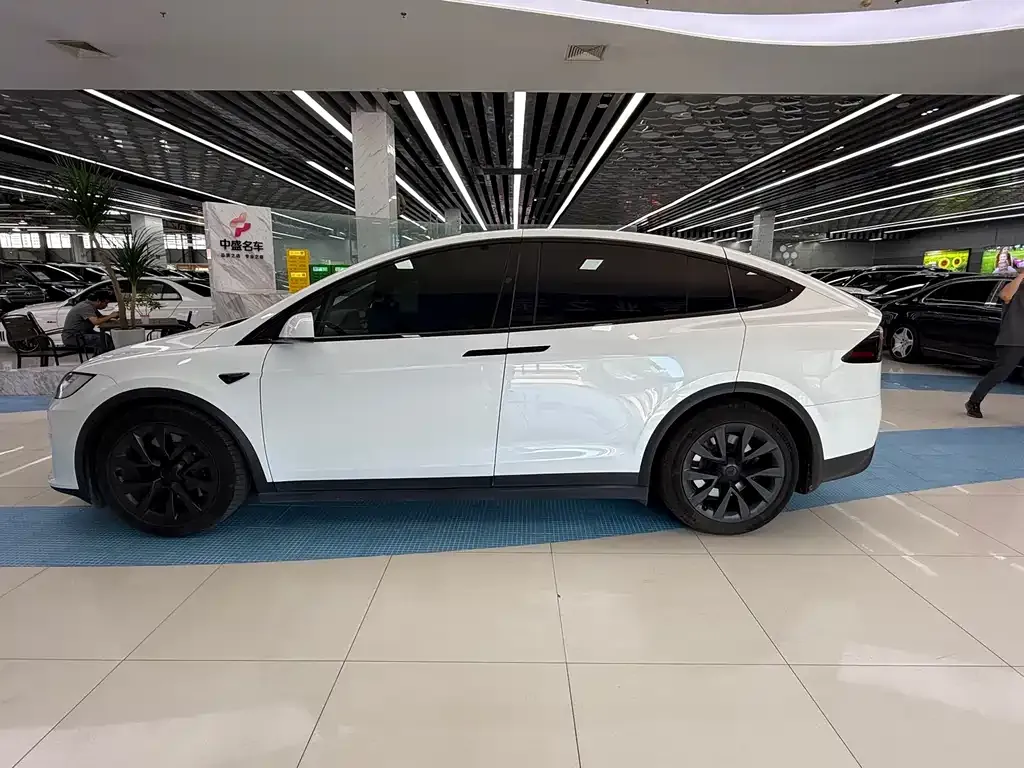 Tesla Model X — фото 7