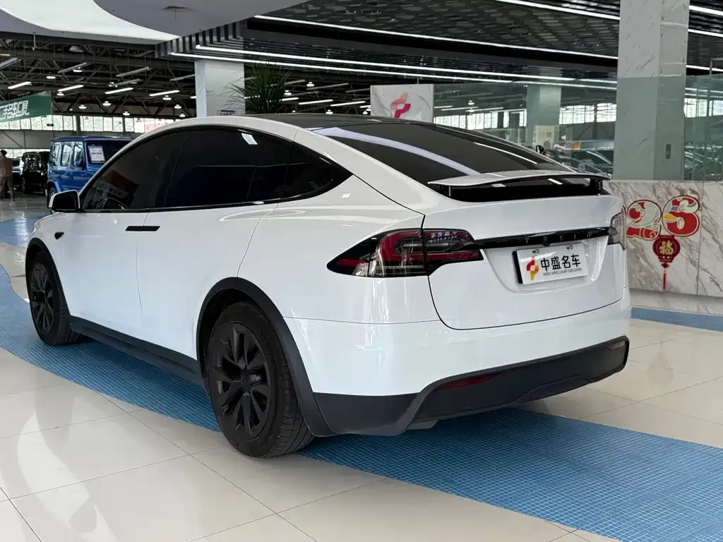 Tesla Model X — фото 8