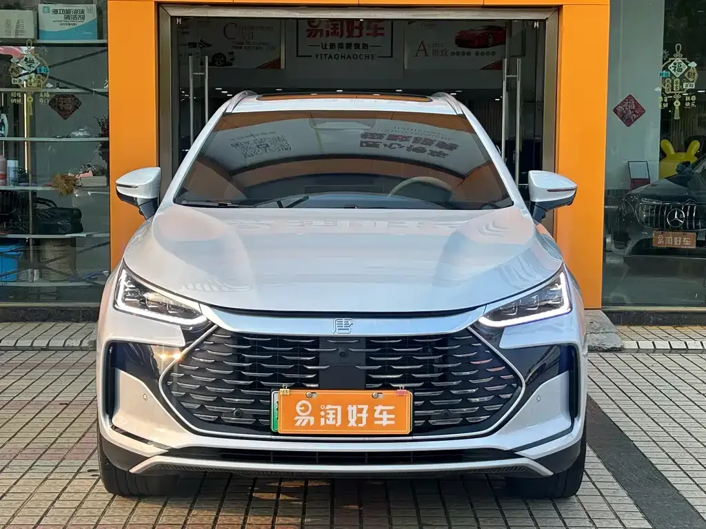 BYD Tang New Energy — фото 10