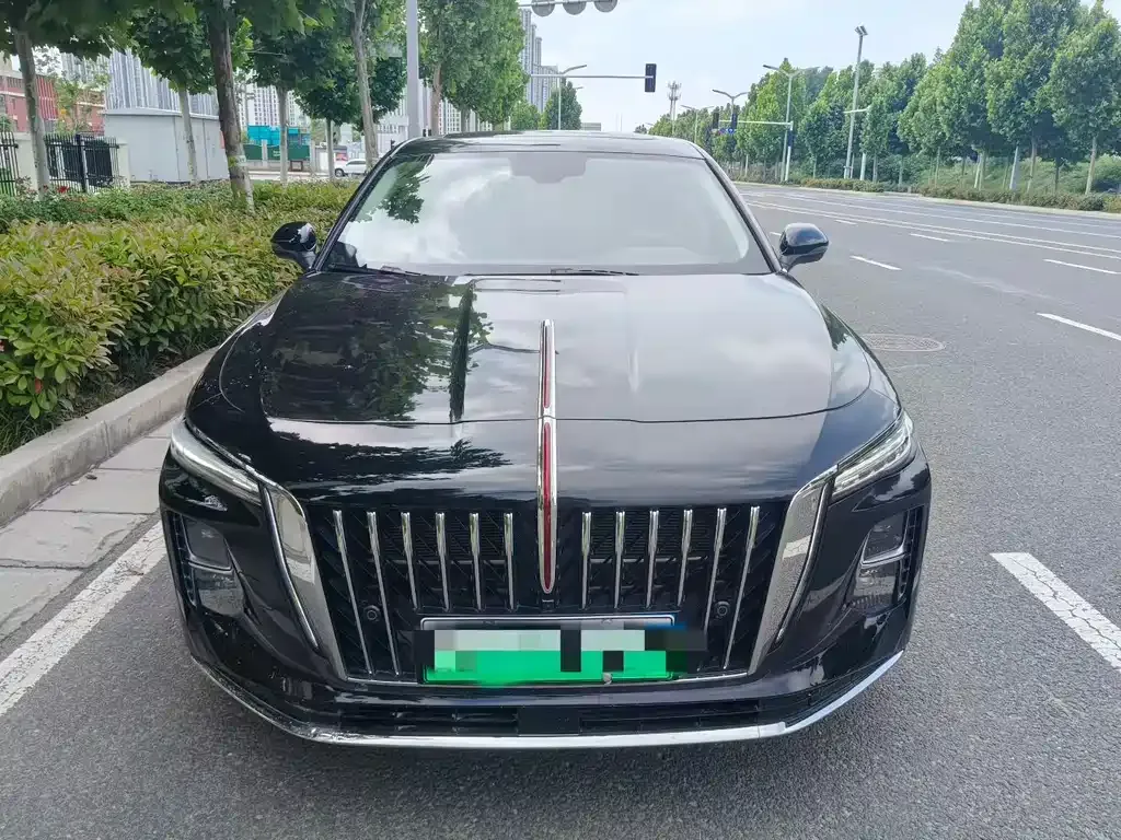 Hongqi H5 PHEV 2025 из CN, фото 3