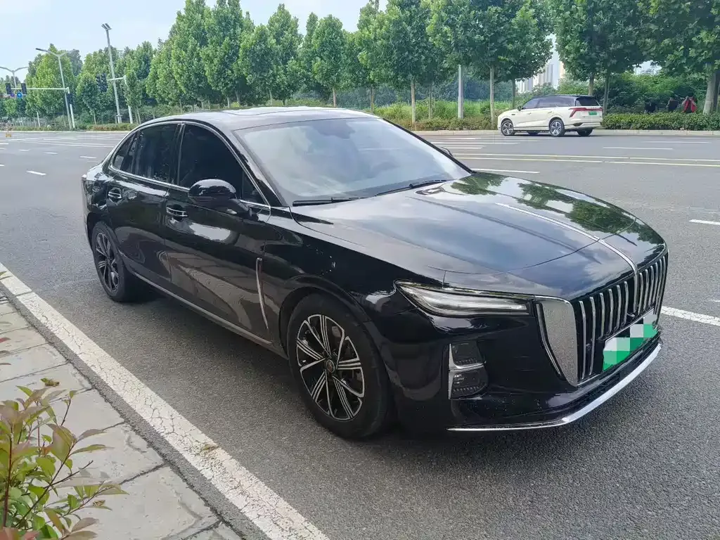 Hongqi H5 PHEV 2025 из CN, фото 4