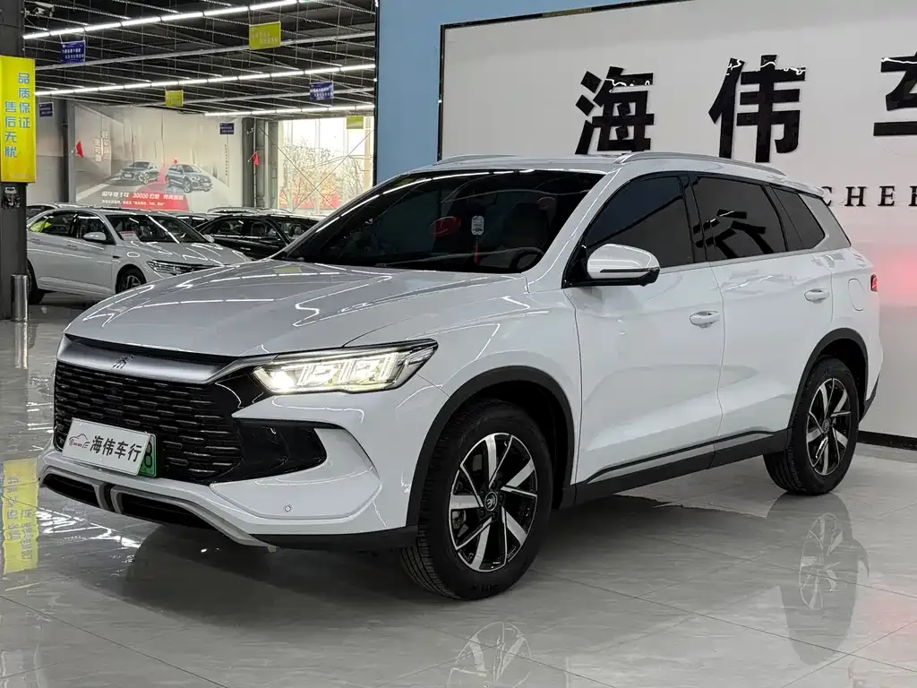 BYD Pro New Energy — фото 1