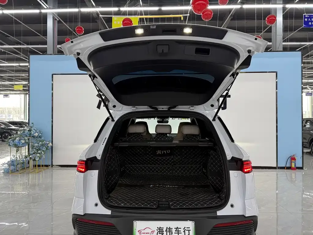 BYD Pro New Energy — фото 10