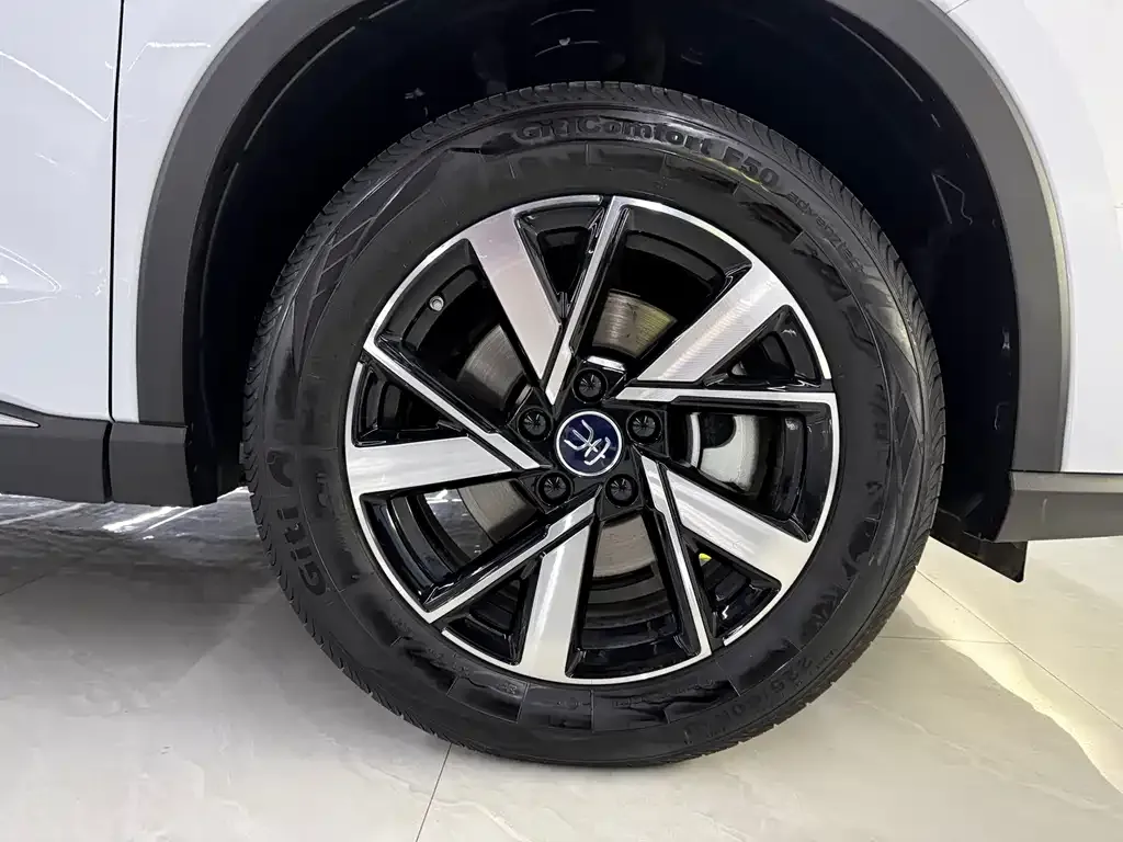BYD Pro New Energy — фото 2