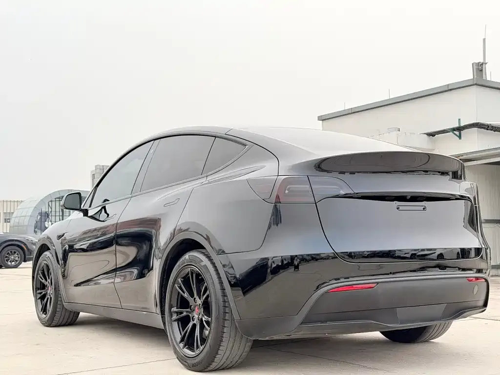 Tesla Model Y — фото 10
