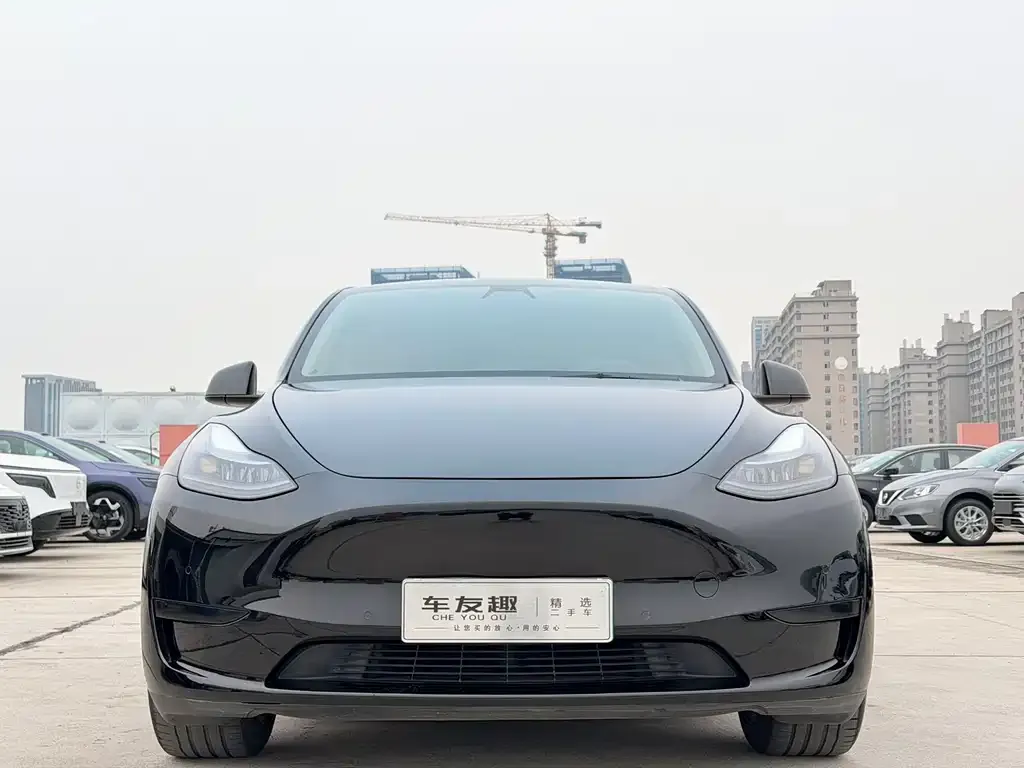 Tesla Model Y — фото 8
