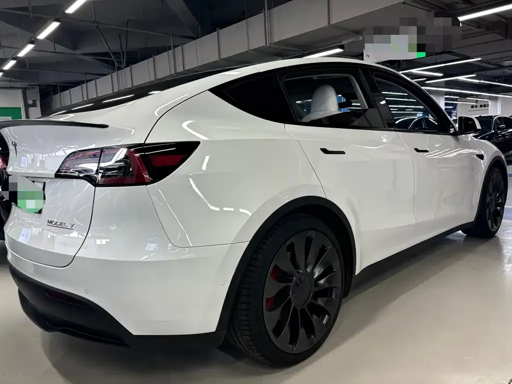 Tesla Model Y — фото 10