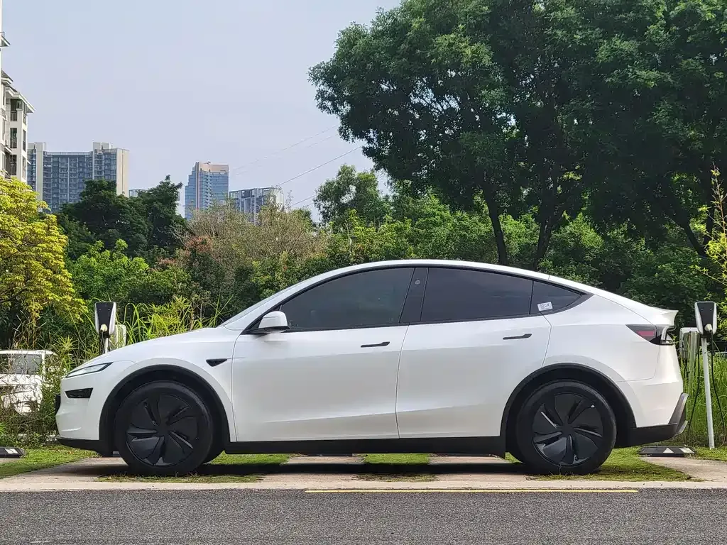 Tesla Model Y — фото 8