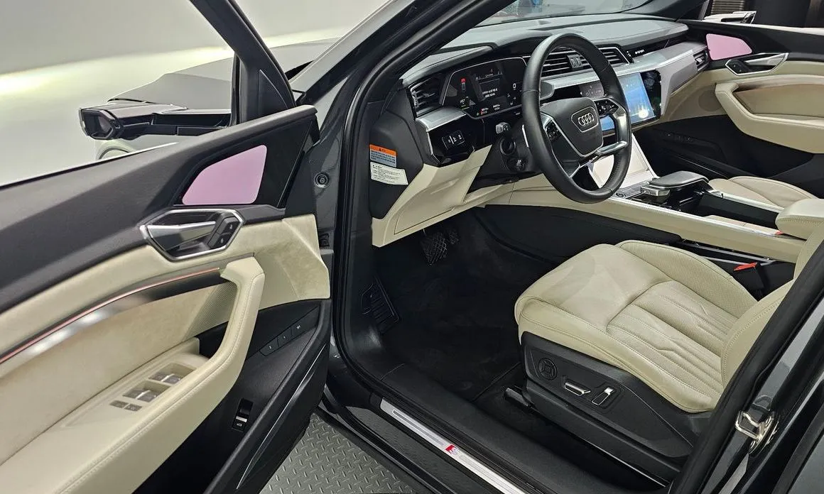 Audi e-tron 2021 из KR, фото 6