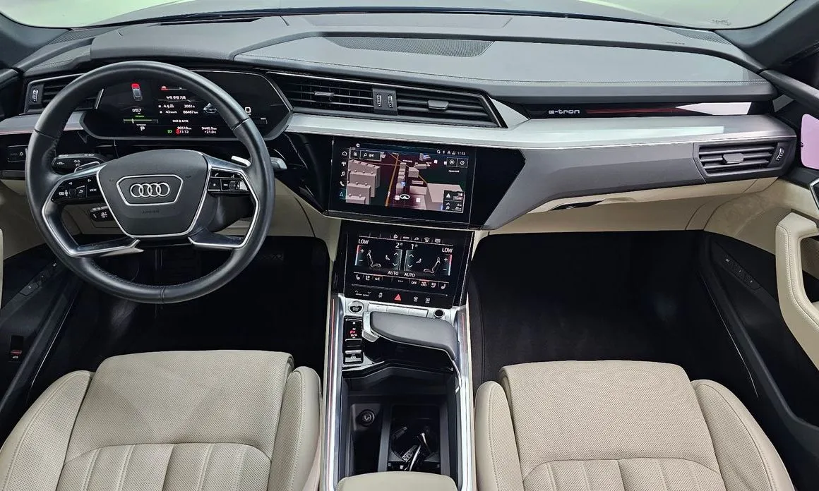 Audi e-tron 2021 из KR, фото 7