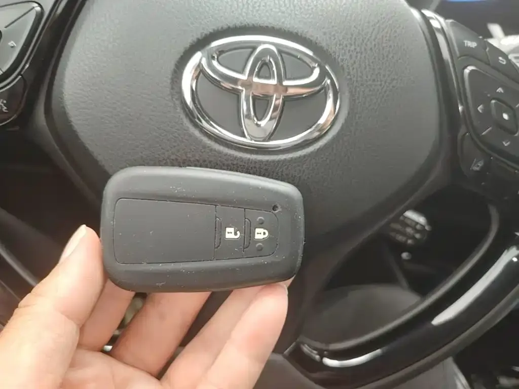Toyota IZOA 2021 из CN, фото 4