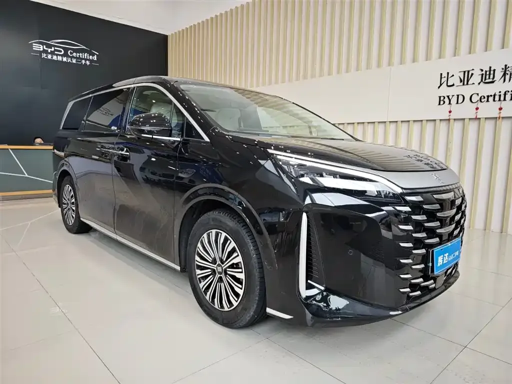 BYD Xia 2025 из CN, фото 4