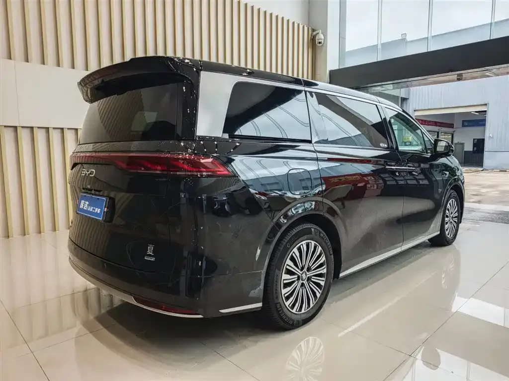 BYD Xia 2025 из CN, фото 3