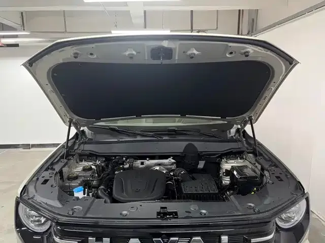 Haval H7 (Big Dog Plus) New Energy 2025 из CN, фото 2