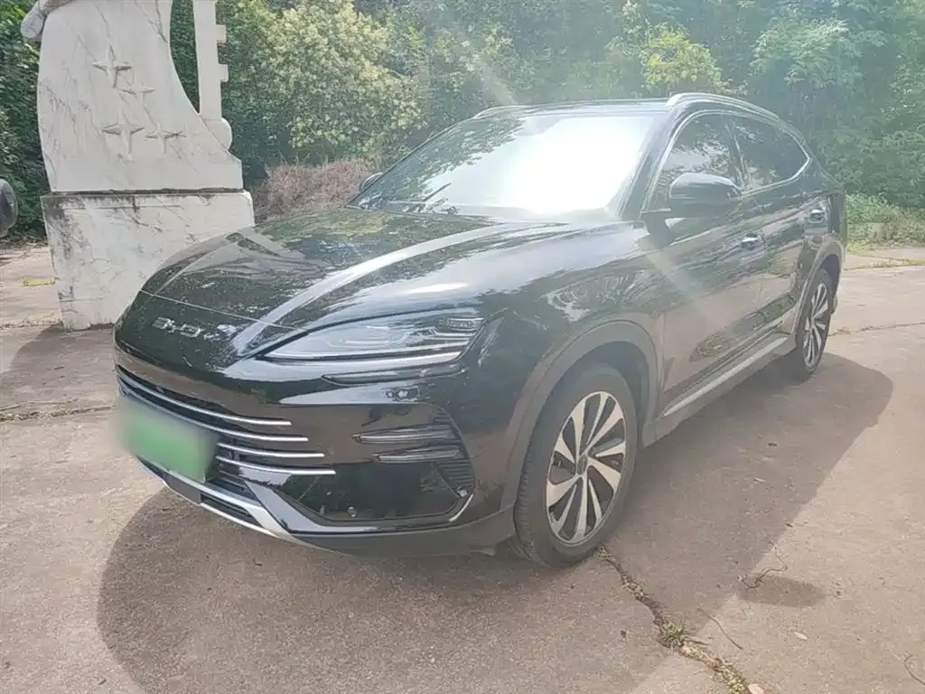 BYD PLUS New Energy — фото 7