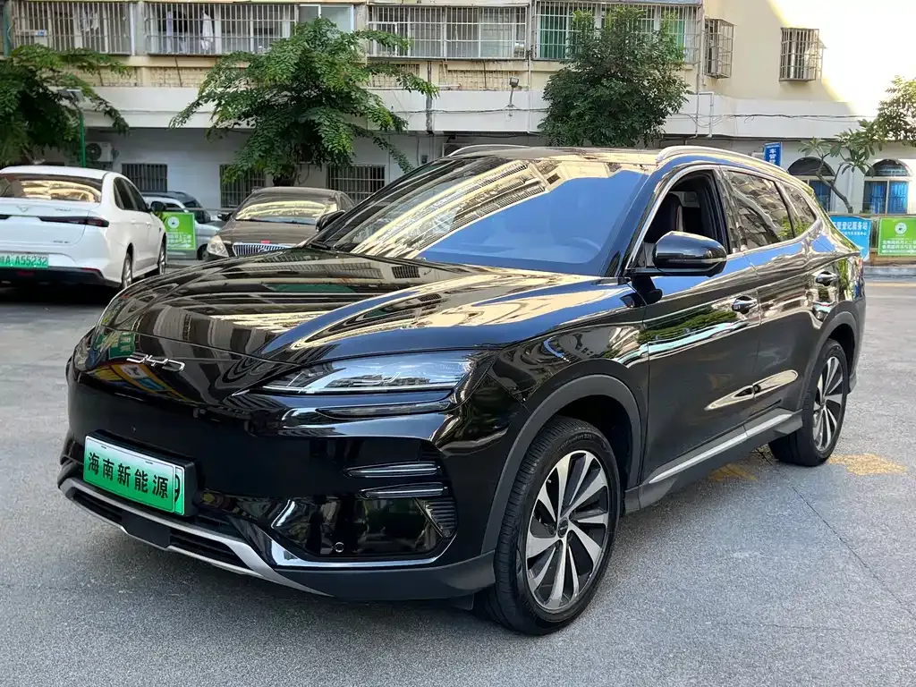 BYD PLUS New Energy — фото 1